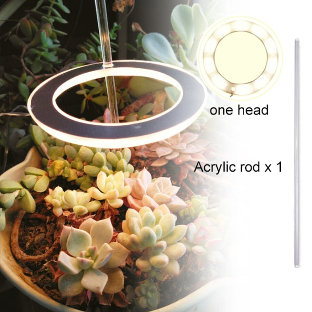 GrowHalo - Angel Three Ring Grow Light For Indoor Plants