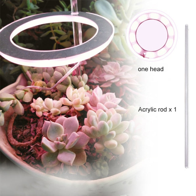 GrowHalo - Angel Three Ring Grow Light For Indoor Plants