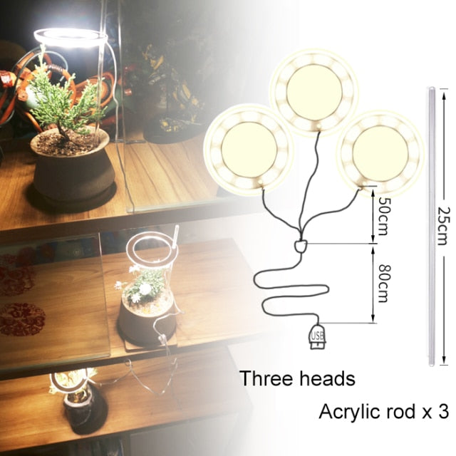 GrowHalo - Angel Three Ring Grow Light For Indoor Plants